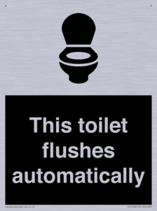 This toilet flushes automatically